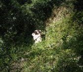 Féminin/Masculin, deux facettes à réconcilier pour cheminer ensemble